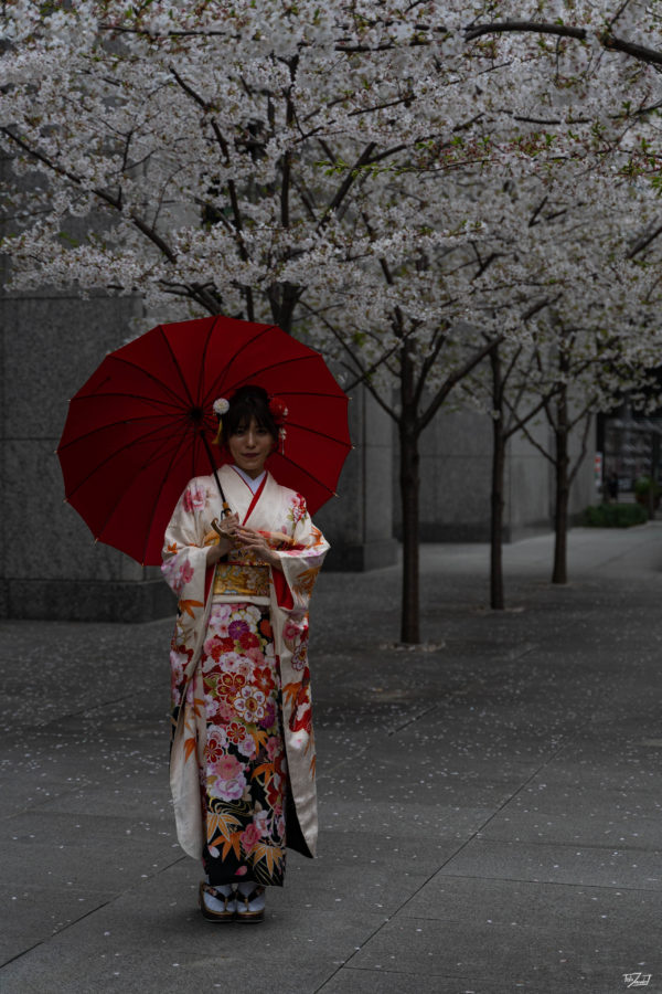 Sakura mit rotem Sonnenschirm